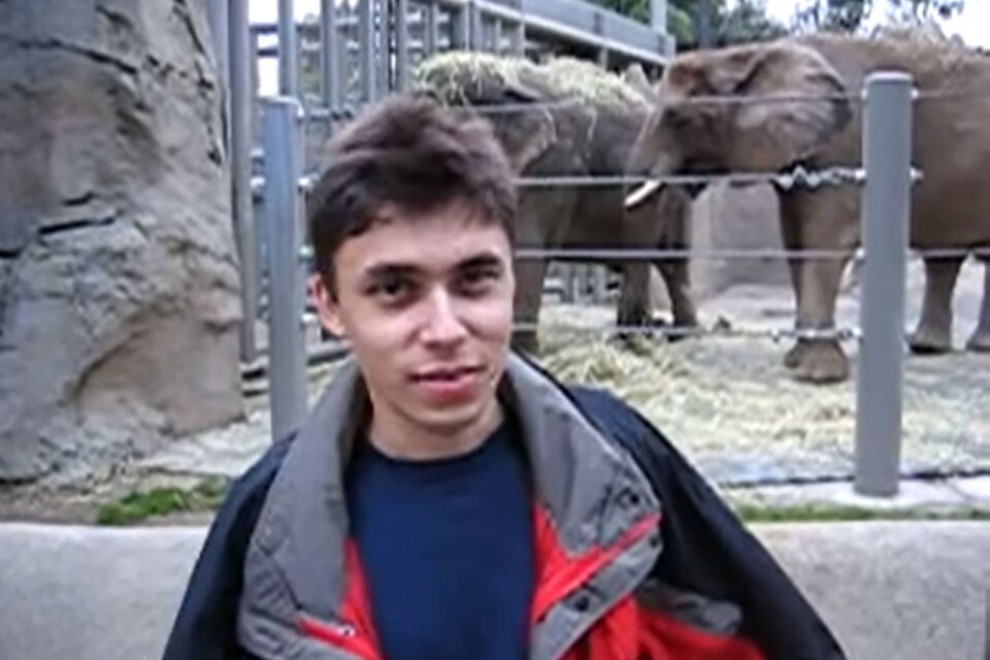 Chico joven en el zoologico delante de unos elefantes