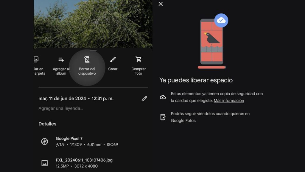 Descubre cómo liberar espacio en tu móvil utilizando Google Fotos sin perder tus imágenes. Aprende a manejar el almacenamiento