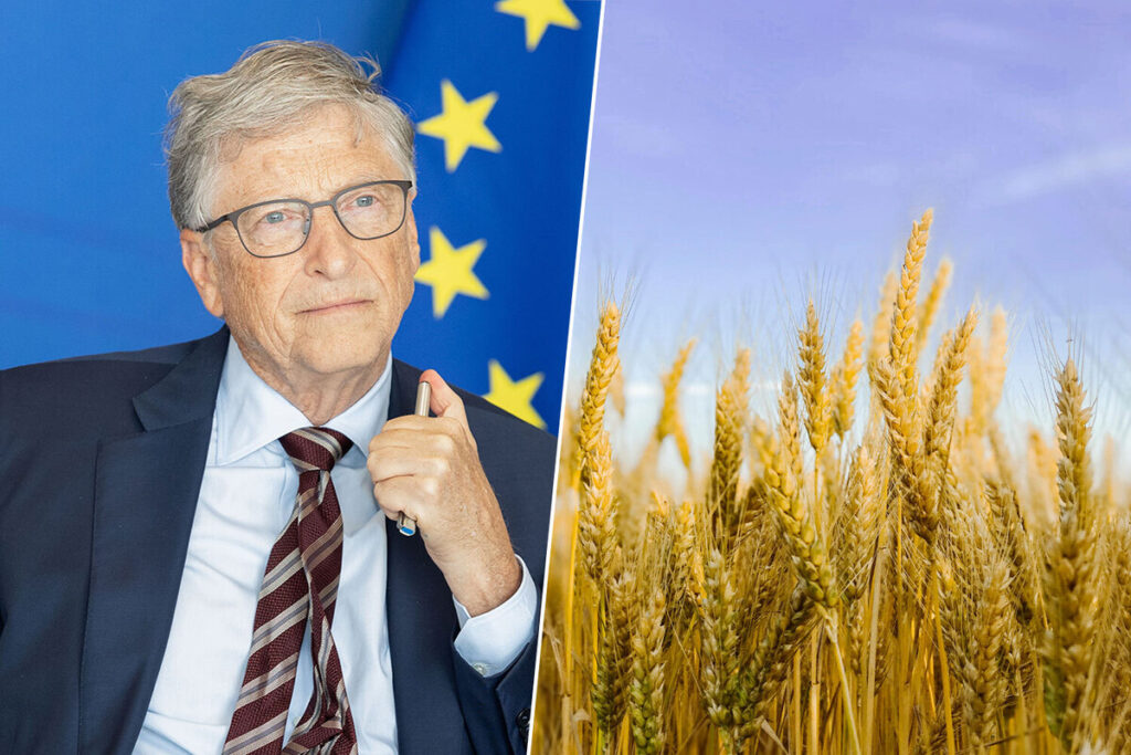 Bill Gates y otros multimillonarios invierten en tierras agrícolas para aumentar su riqueza. Descubre las razones detrás de esta tendencia y su impacto en el mercado global